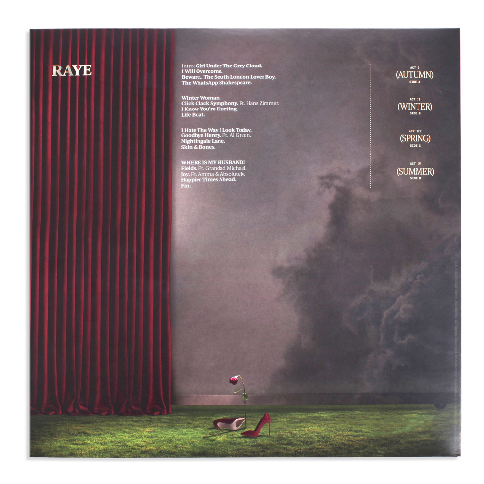 This Music May Contain Hope. | Double Vinyl | Raye | Official Store